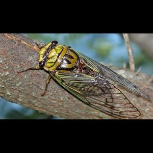 Meet your Posher, Jose